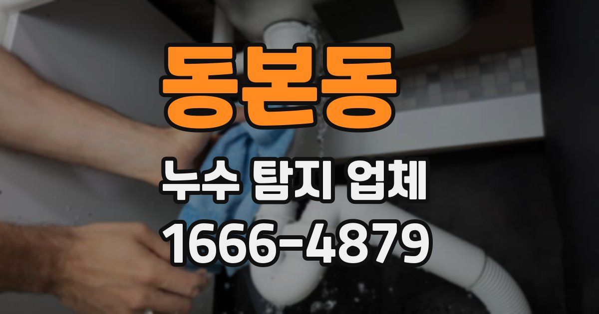 동본동 누수 탐지 업체