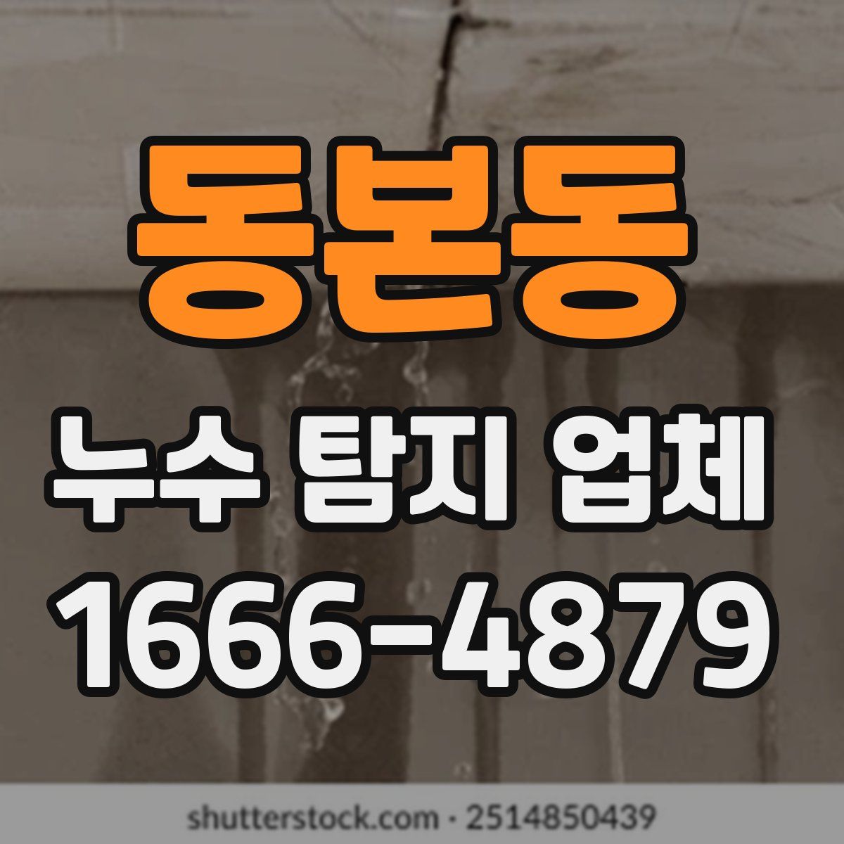 동본동 누수 탐지 업체