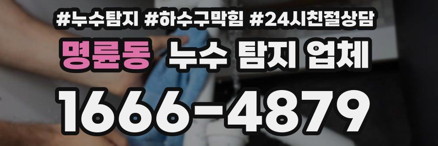 명륜동 누수 탐지 업체