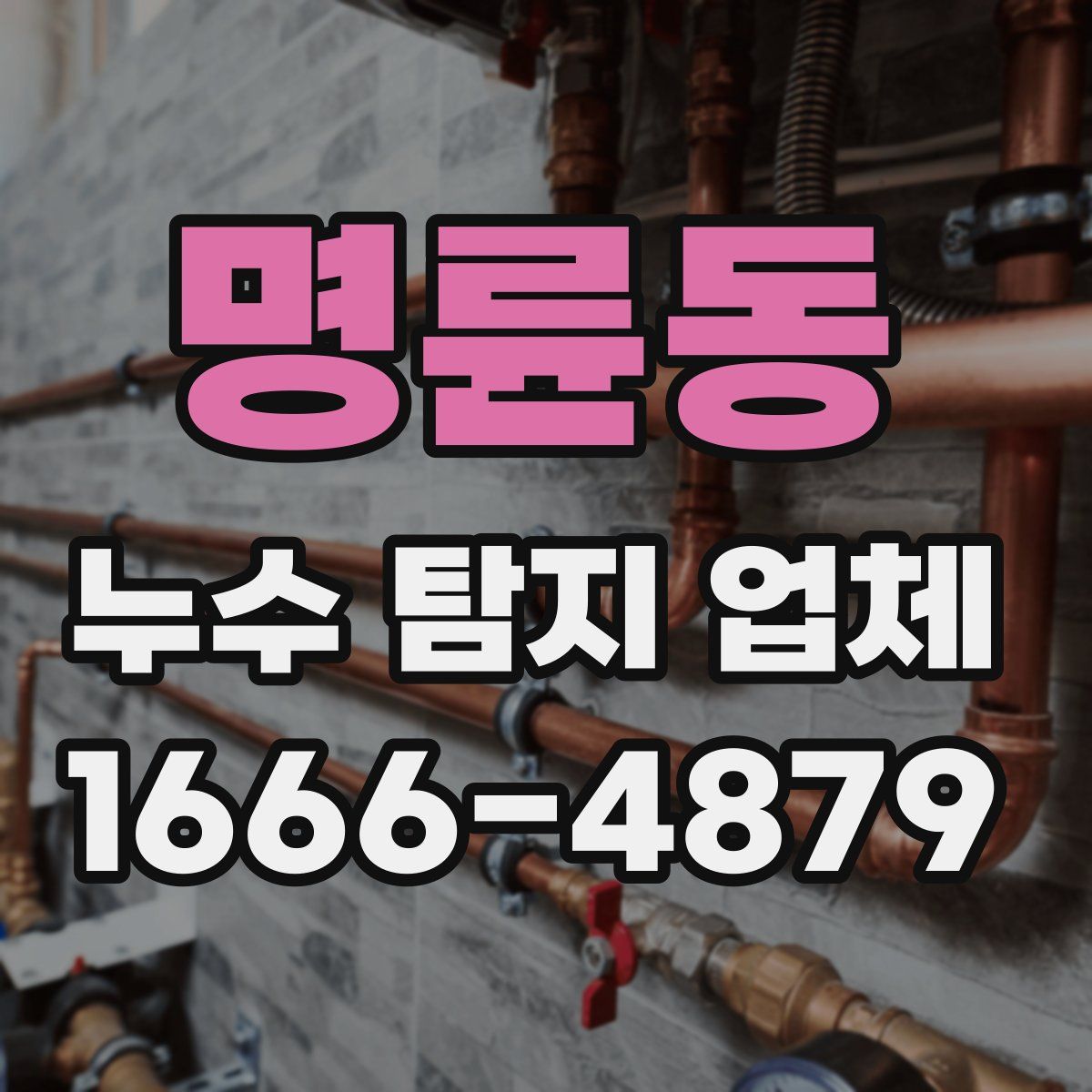 명륜동 누수 탐지 업체