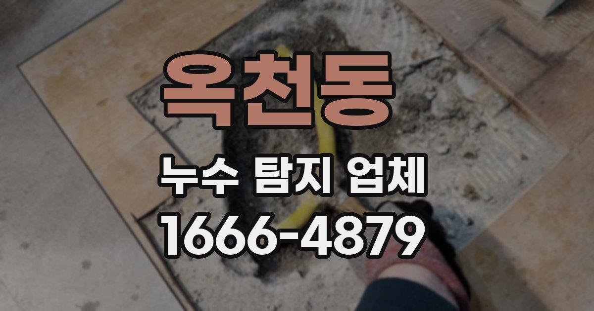 옥천동 누수 탐지 업체