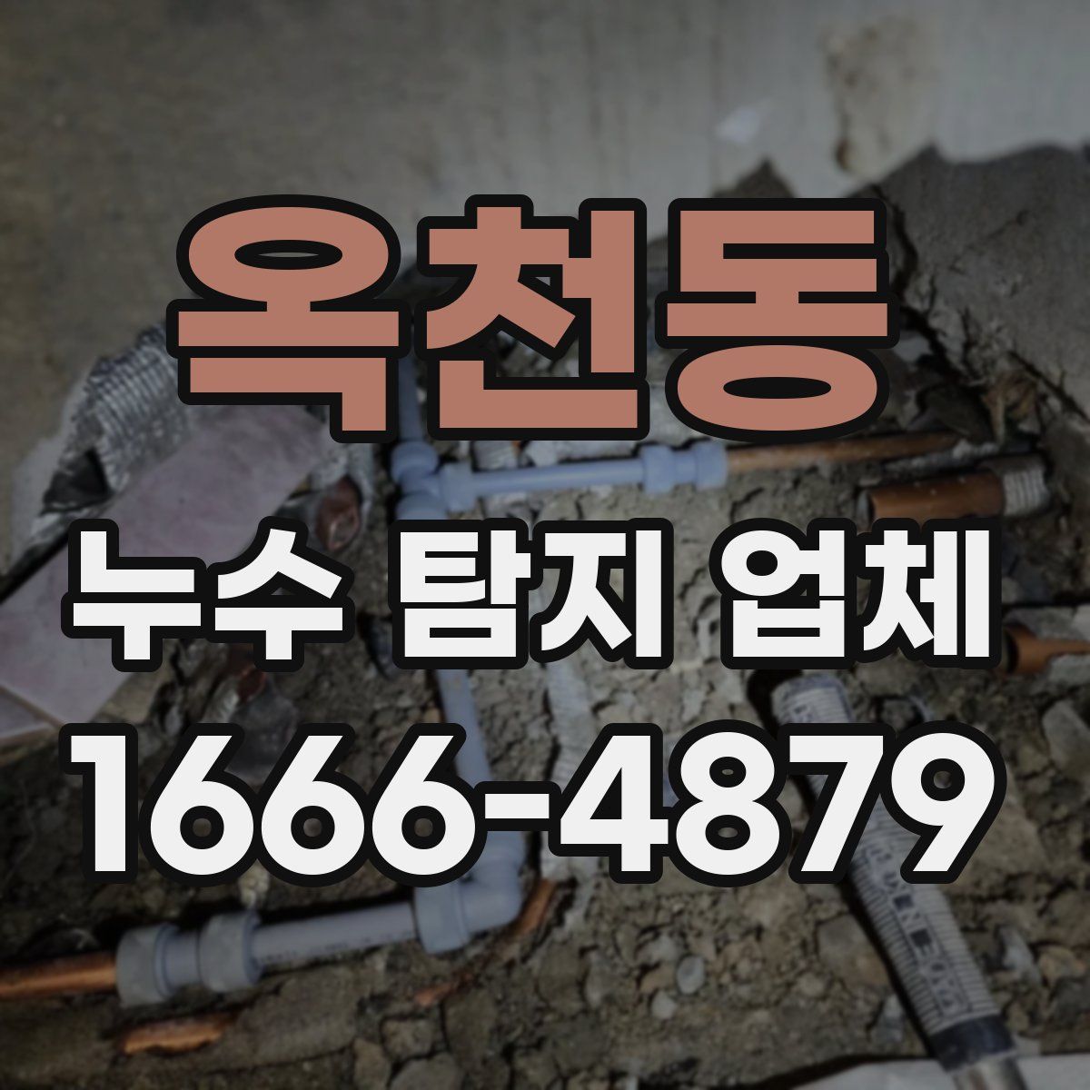 옥천동 누수 탐지 업체