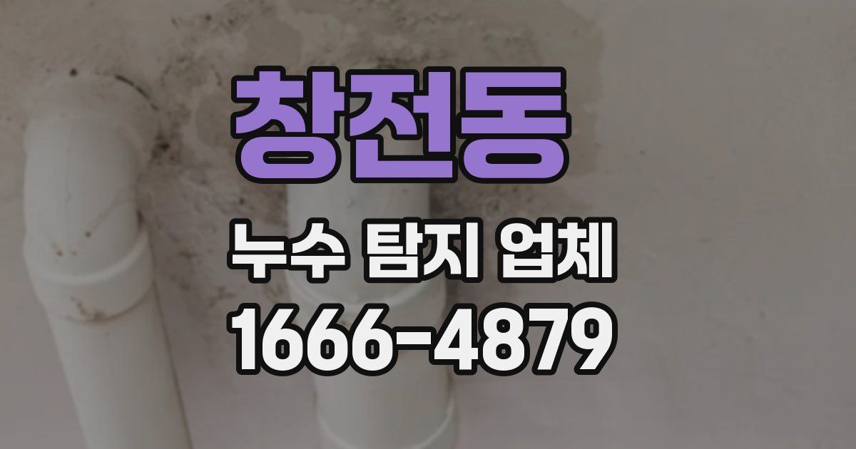 창전동 누수 탐지 업체