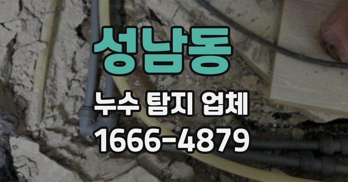 성남동 누수 탐지 업체