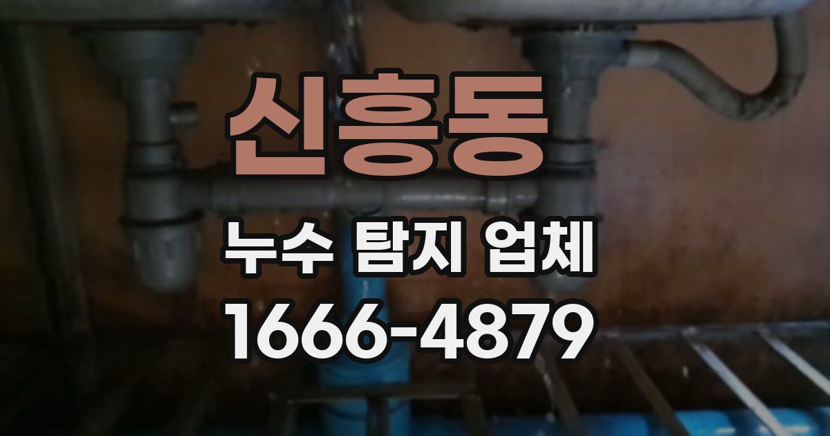 신흥동 누수 탐지 업체