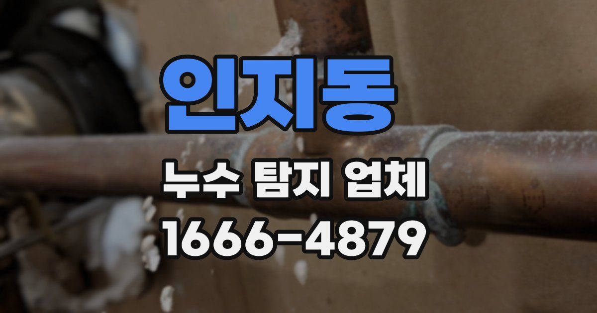 인지동 누수 탐지 업체