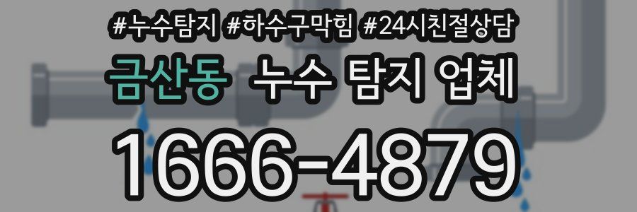 금산동 누수 탐지 업체