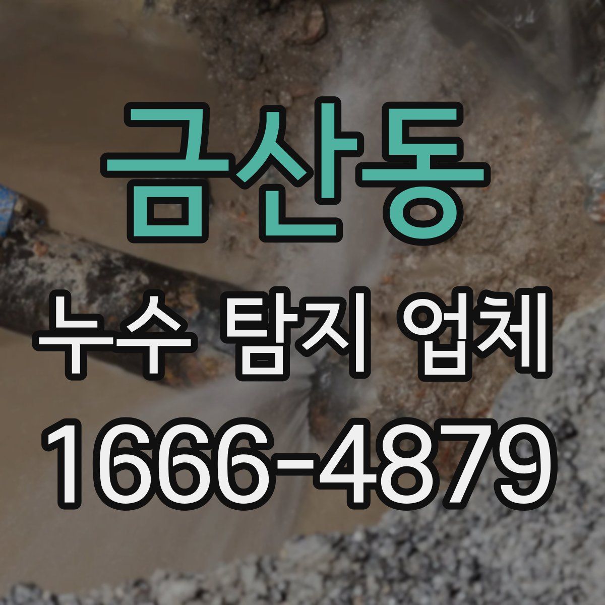 금산동 누수 탐지 업체