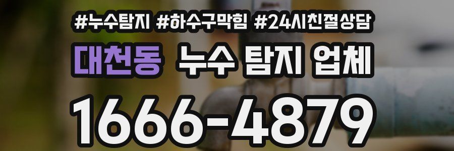 대천동 누수 탐지 업체