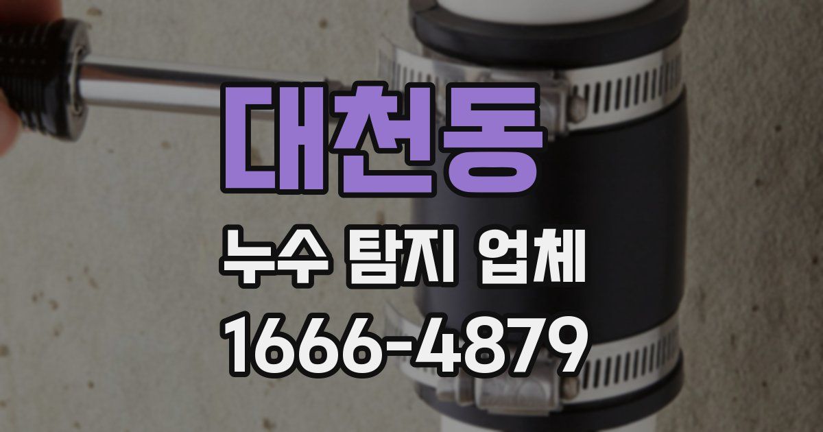 대천동 누수 탐지 업체