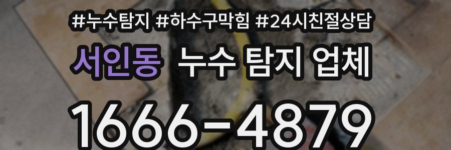 서인동 누수 탐지 업체