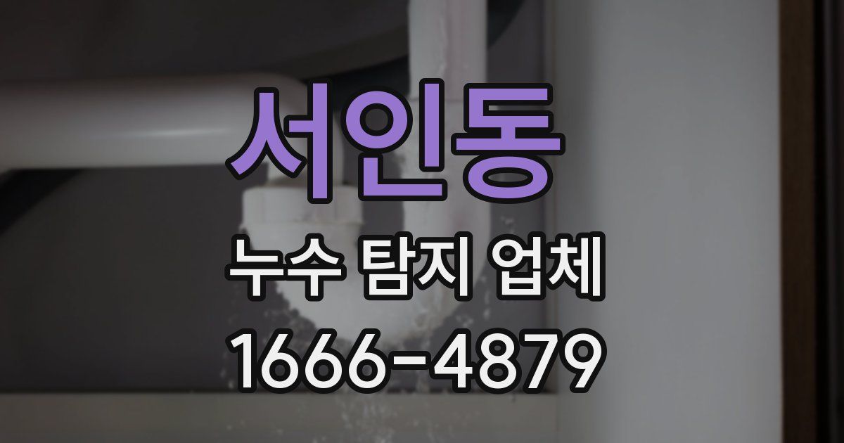 서인동 누수 탐지 업체