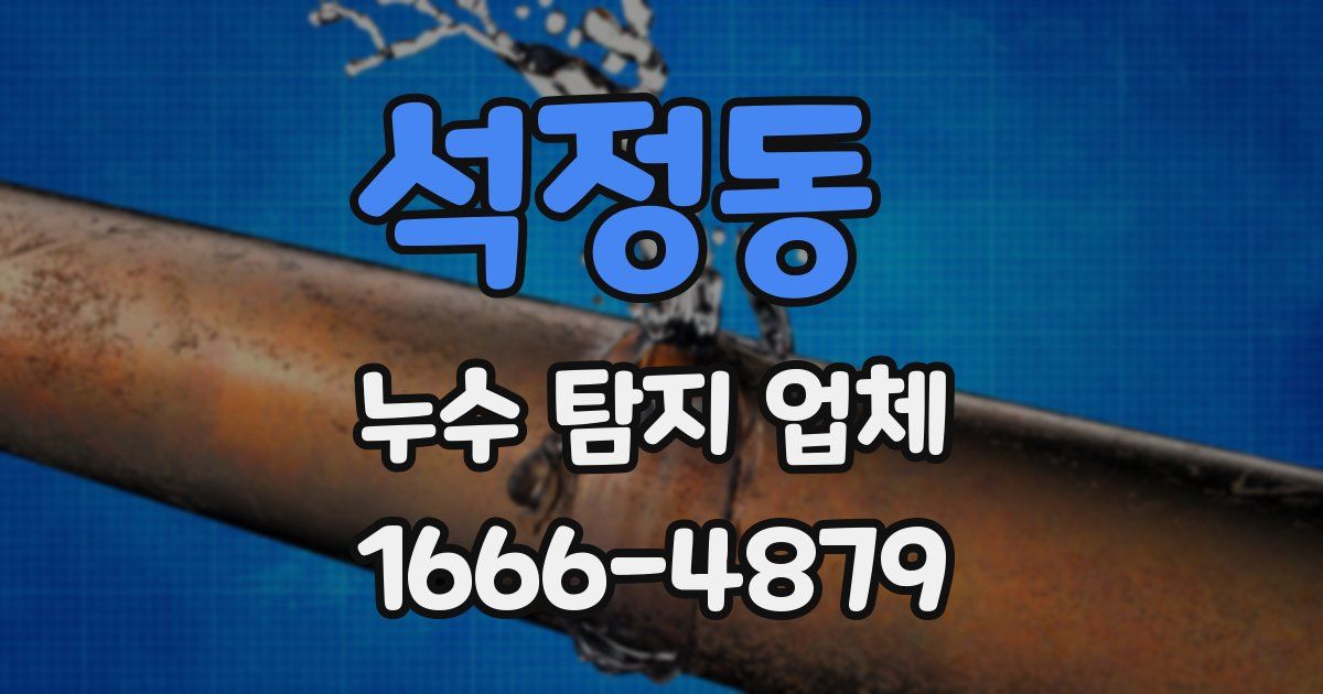 석정동 누수 탐지 업체