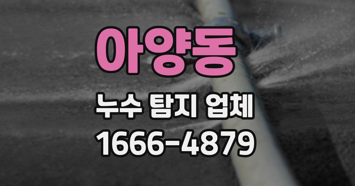 아양동 누수 탐지 업체