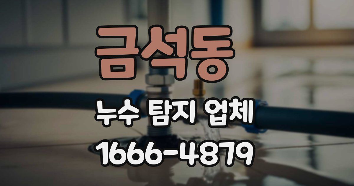 금석동 누수 탐지 업체