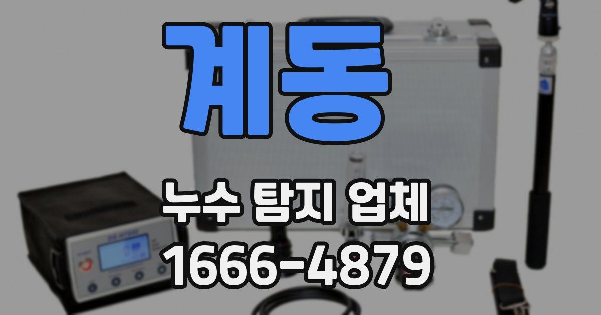 계동 누수 탐지 업체