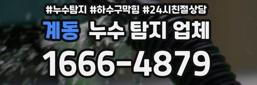 계동 누수 탐지 업체