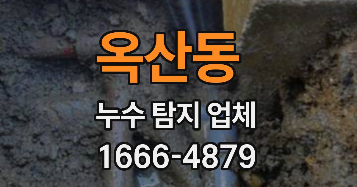 옥산동 누수 탐지 업체