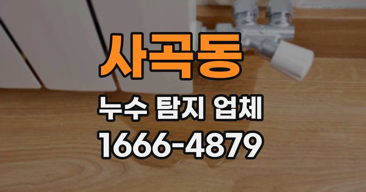 사곡동 누수 탐지 업체
