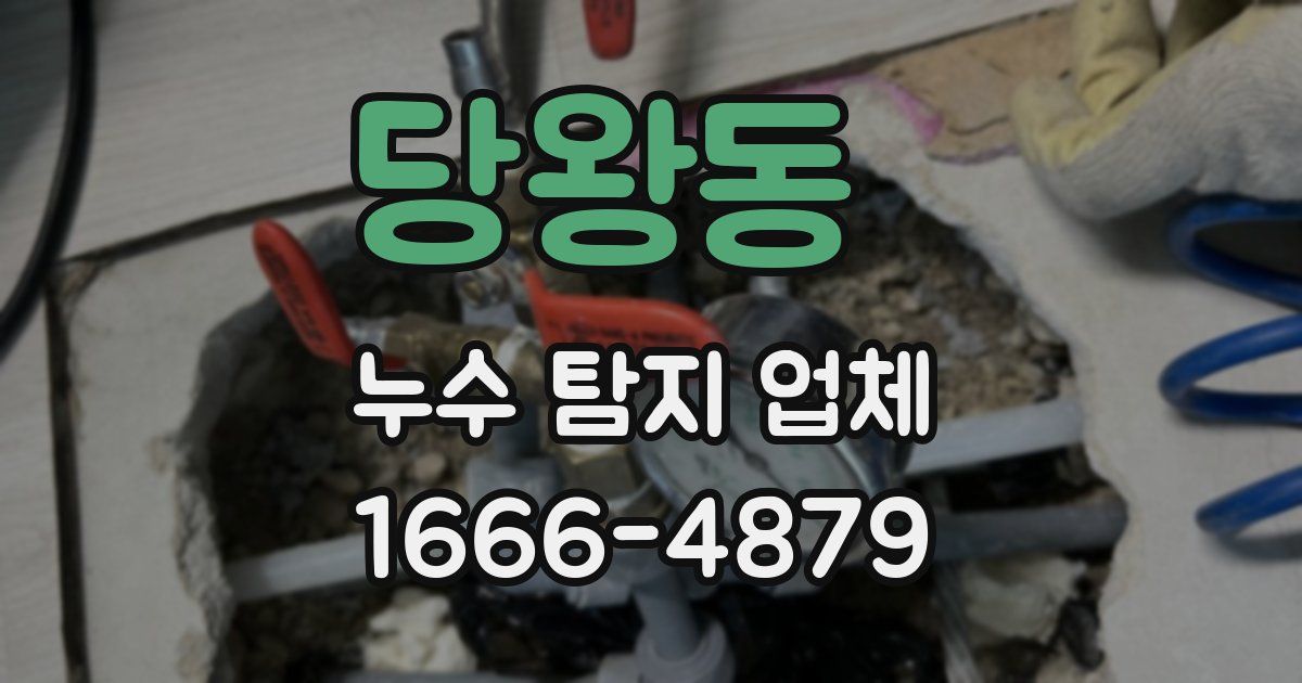 당왕동 누수 탐지 업체