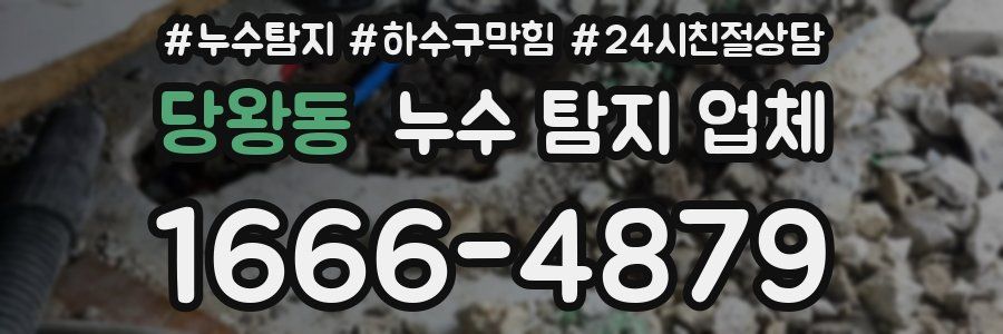 당왕동 누수 탐지 업체