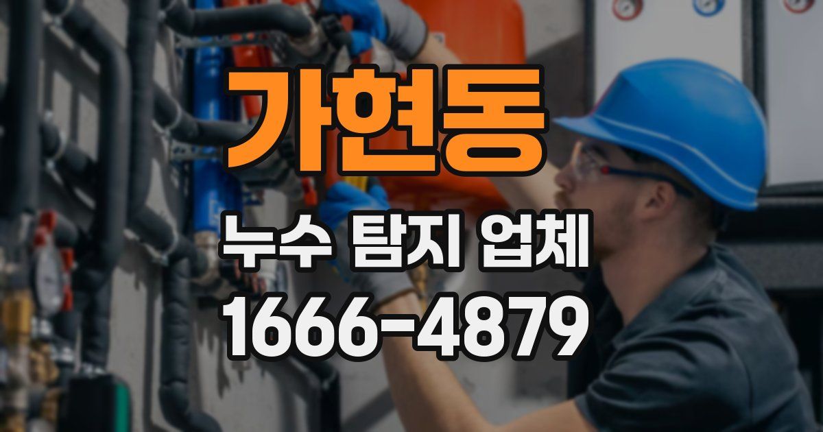 가현동 누수 탐지 업체