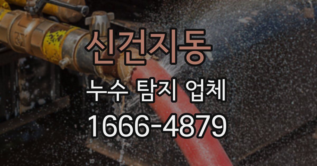 신건지동 누수 탐지 업체