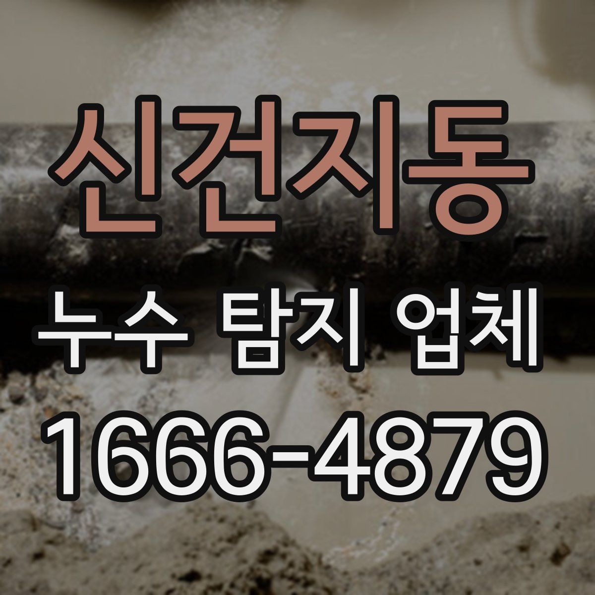신건지동 누수 탐지 업체