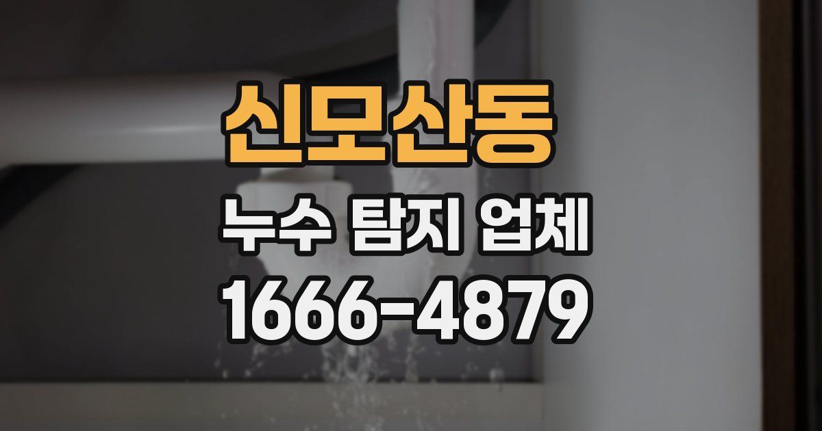 신모산동 누수 탐지 업체