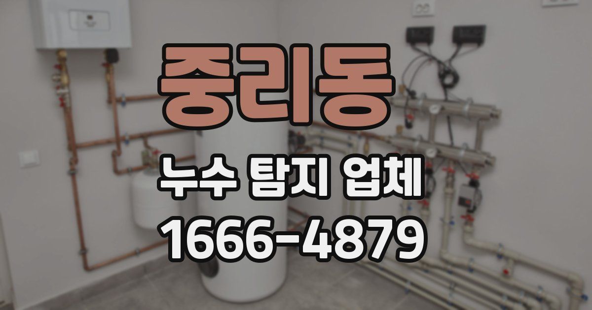 중리동 누수 탐지 업체
