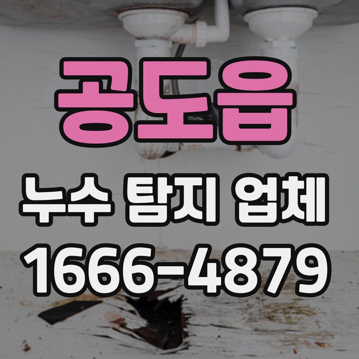 공도읍 누수 탐지 업체