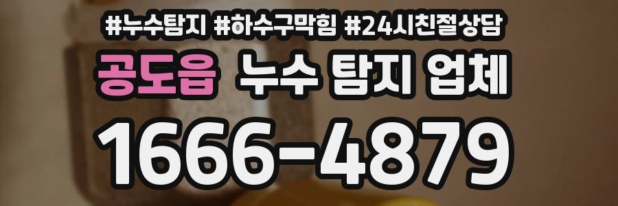 공도읍 누수 탐지 업체