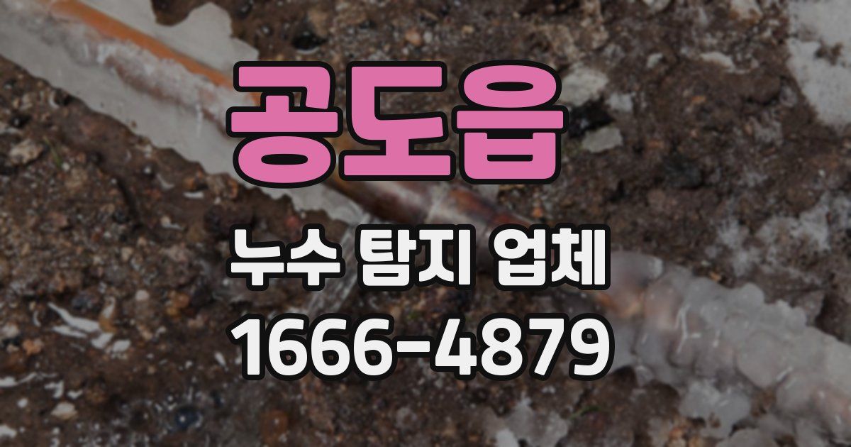 공도읍 누수 탐지 업체