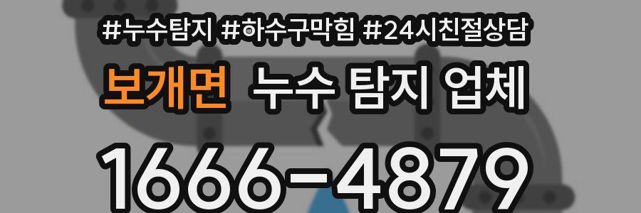 보개면 누수 탐지 업체