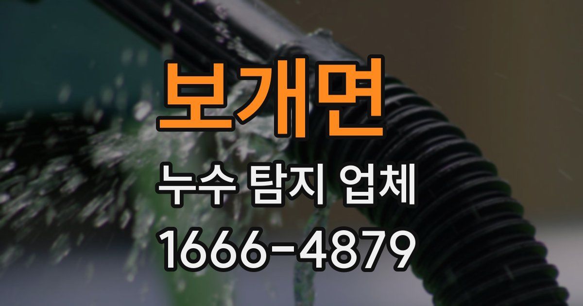 보개면 누수 탐지 업체