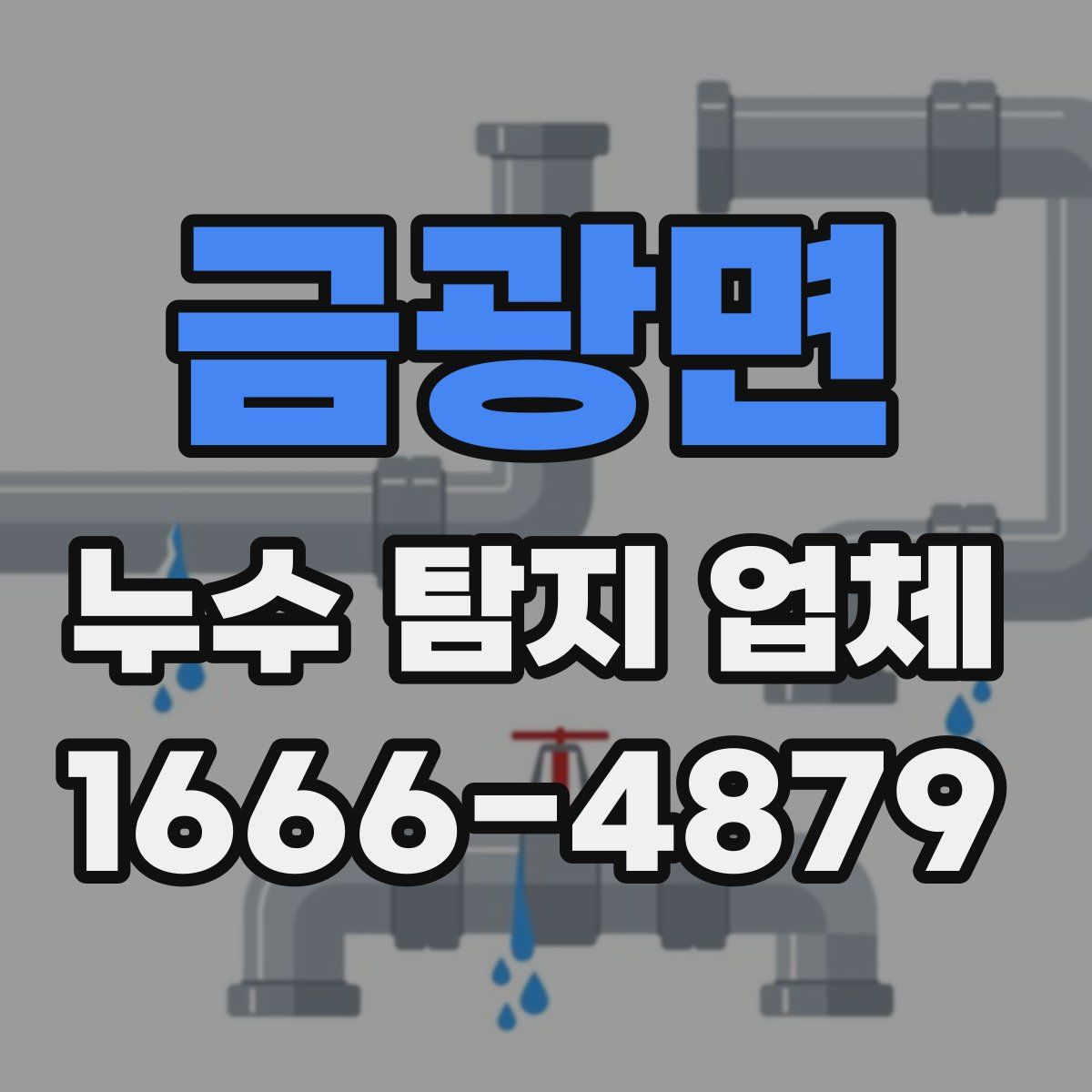 금광면 누수 탐지 업체