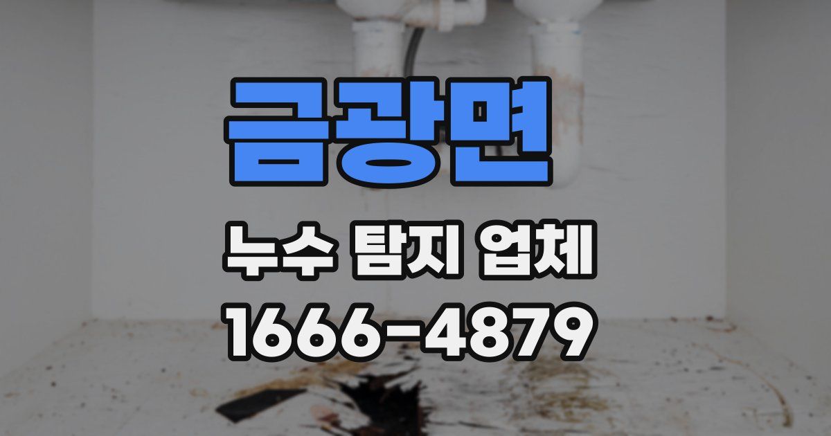 금광면 누수 탐지 업체