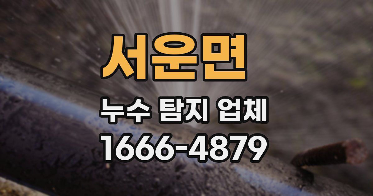 서운면 누수 탐지 업체