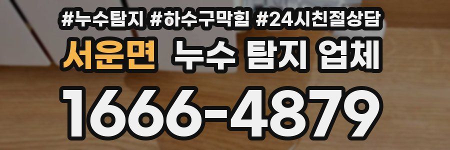 서운면 누수 탐지 업체