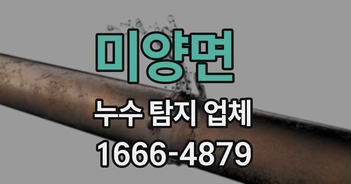 미양면 누수 탐지 업체