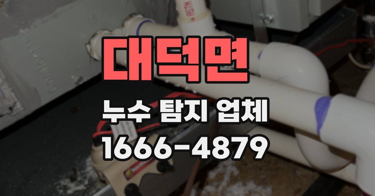 대덕면 누수 탐지 업체