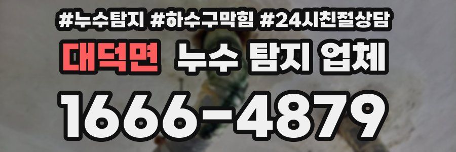 대덕면 누수 탐지 업체
