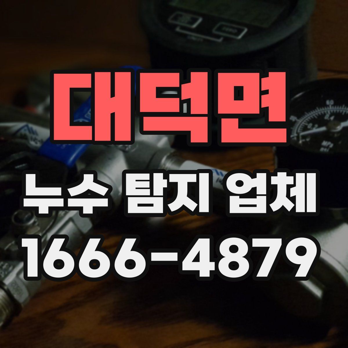대덕면 누수 탐지 업체