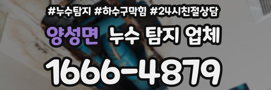 양성면 누수 탐지 업체