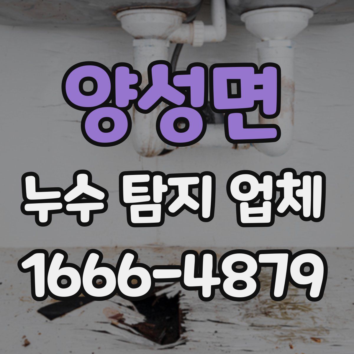 양성면 누수 탐지 업체