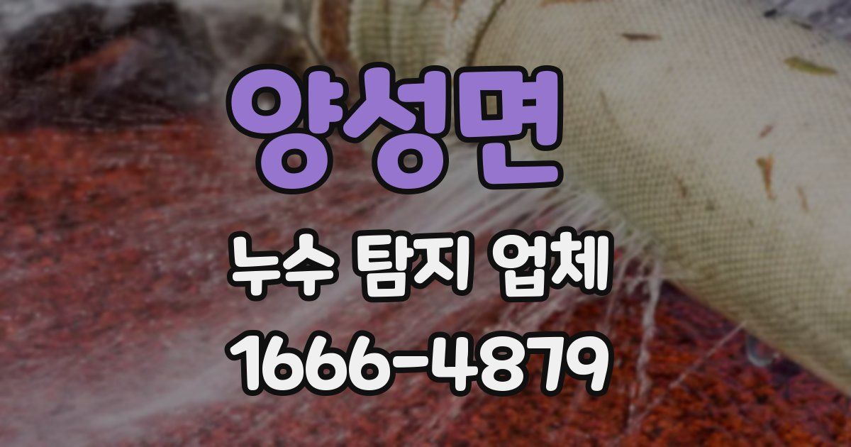 양성면 누수 탐지 업체