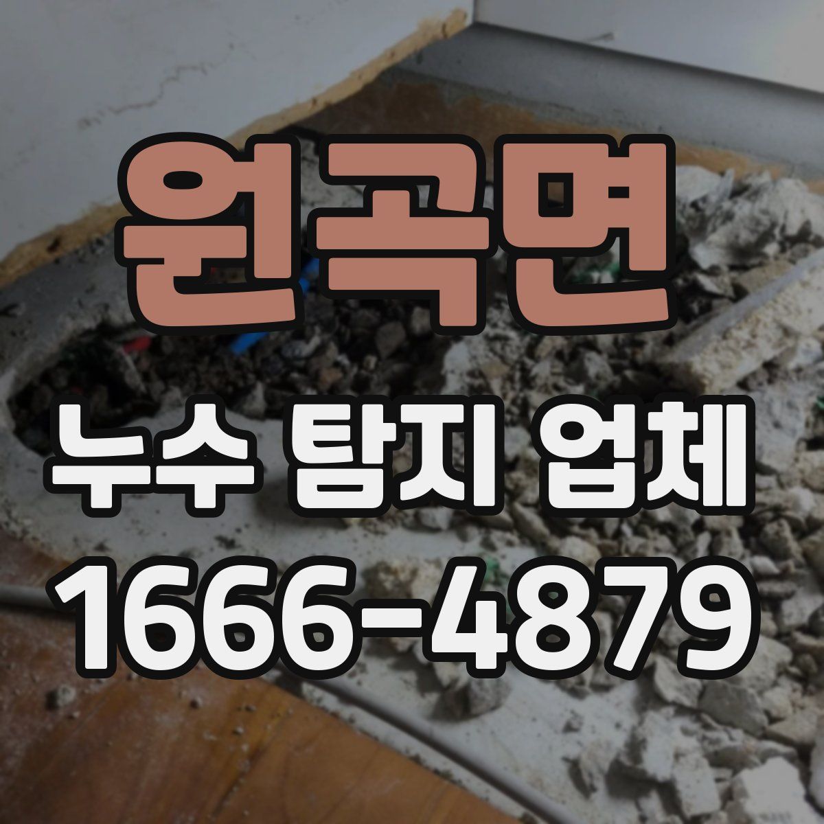 원곡면 누수 탐지 업체