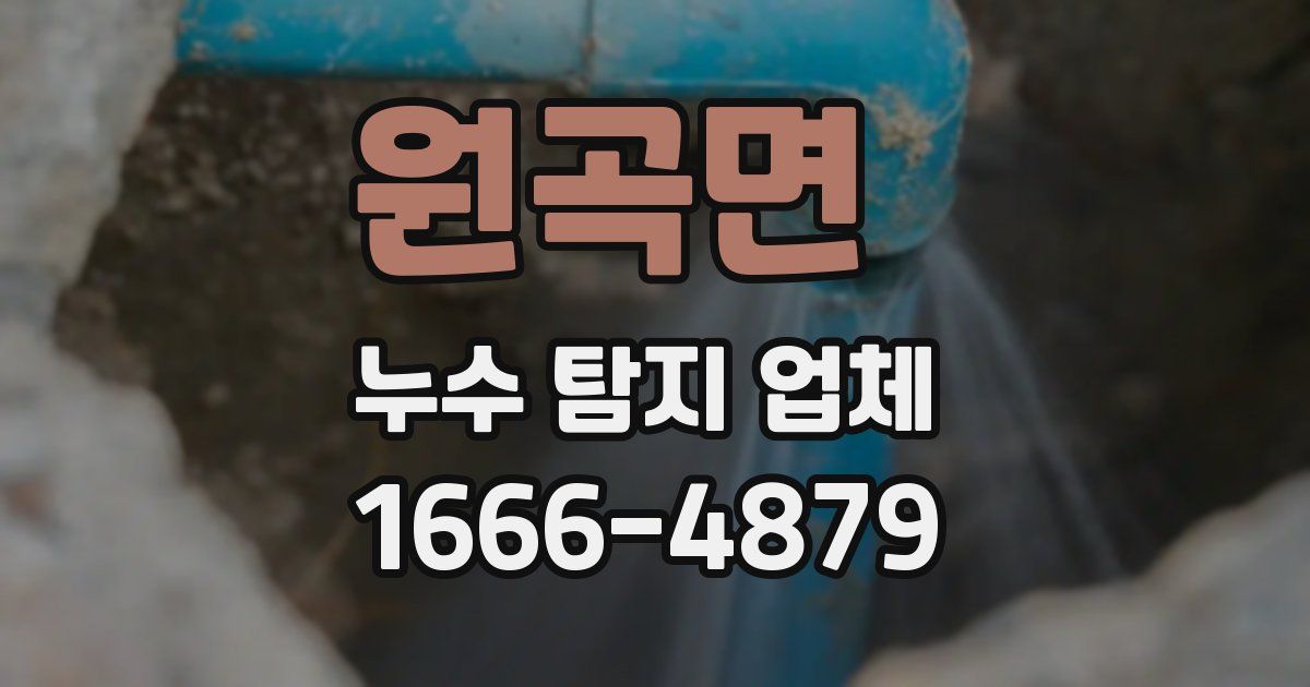 원곡면 누수 탐지 업체