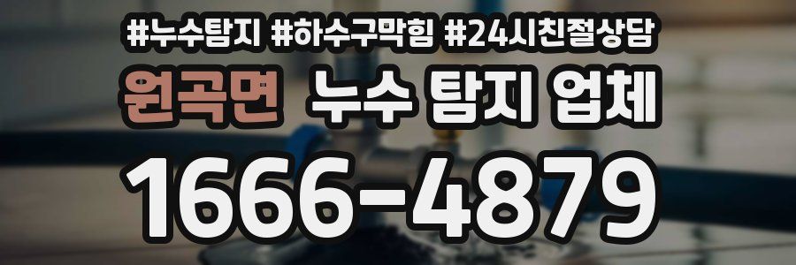 원곡면 누수 탐지 업체