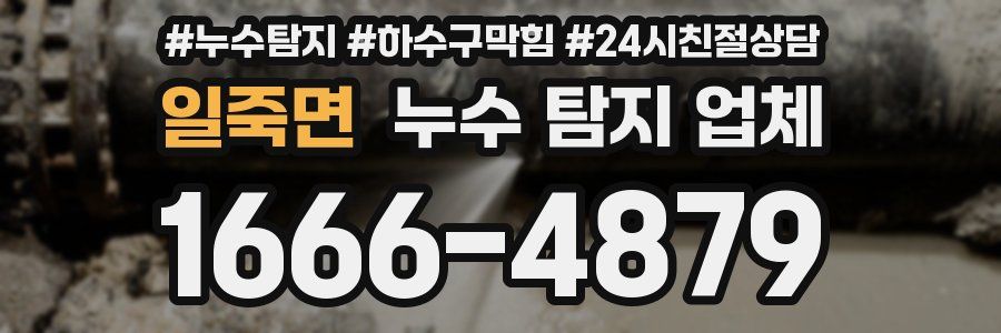일죽면 누수 탐지 업체